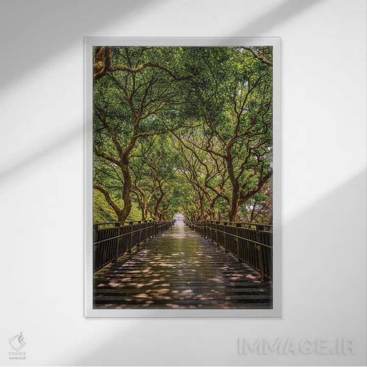 تابلو Taiwan,باغ ژیشان، تایوان اثر الکس جی پرز - نمای قابدار سفید