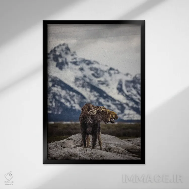 تابلو گوزن بزرگ تیتون (۳) اثر الکس جی پرز - نمای قابدار مشکی