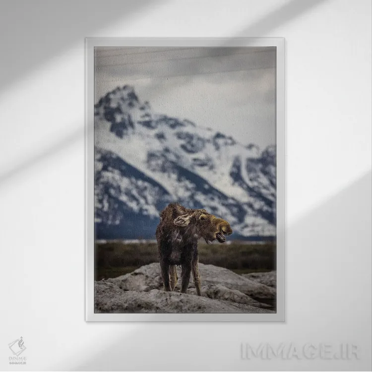 تابلو گوزن بزرگ تیتون (۳) اثر الکس جی پرز - نمای قابدار سفید