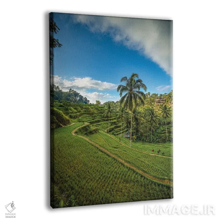 تابلو تراس برنج موپو در بالی اندونزی شماره ۳ اثر الکس جی پرز - نمای پرسپکتیو محصول