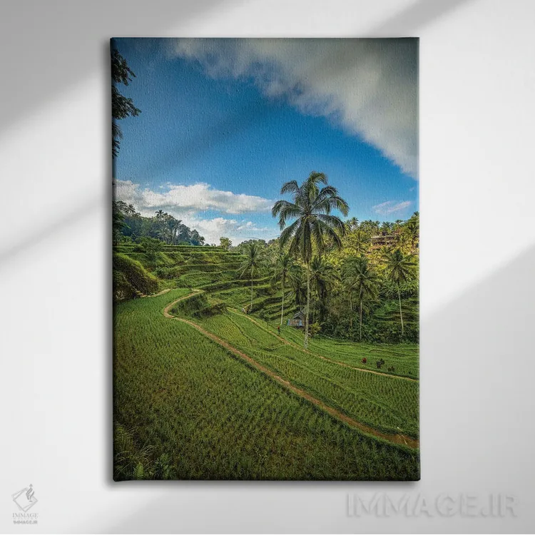 تابلو تراس برنج موپو در بالی اندونزی شماره ۳ اثر الکس جی پرز - نمای روبهرو روی دیوار