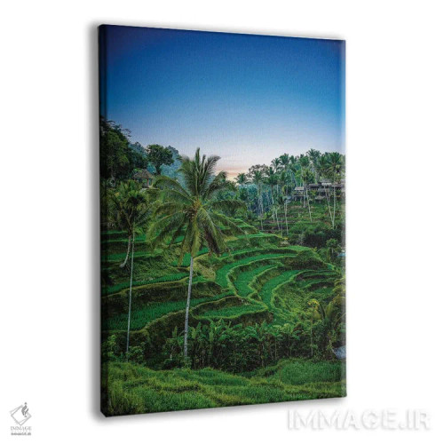 تابلو کشاورز برنج تراسدار اندونزی شماره ۱ اثر الکس جی پرز - نمای پرسپکتیو محصول