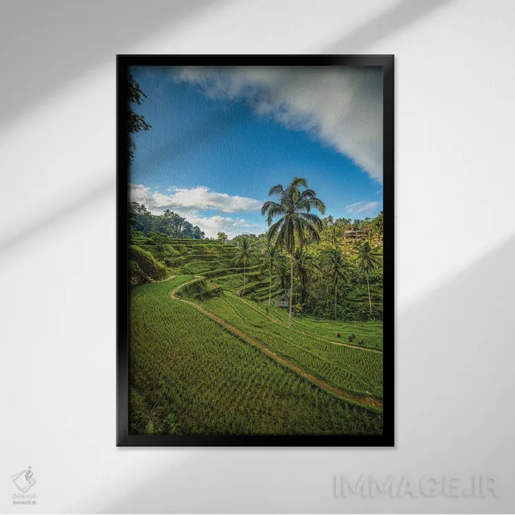 تابلو تراس برنج موپو در بالی اندونزی شماره ۳ اثر الکس جی پرز - نمای قابدار مشکی