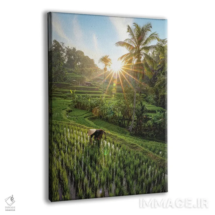 تابلو کشاورز برنج تراسدار اندونزی شماره ۲ اثر الکس جی پرز - نمای پرسپکتیو محصول