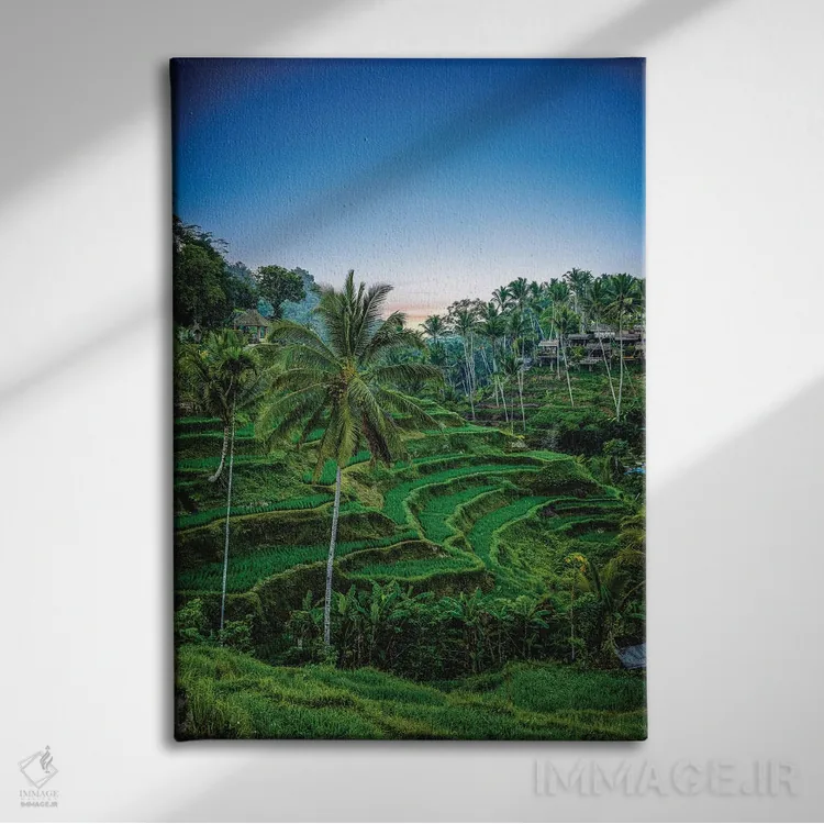 تابلو کشاورز برنج تراسدار اندونزی شماره ۱ اثر الکس جی پرز - نمای روبهرو روی دیوار