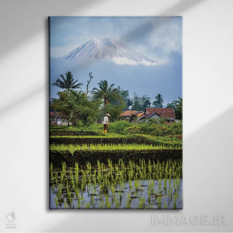 تابلو مزرعه برنج تراسدار اندونزی شماره ۳ اثر الکس جی پرز - نمای روبهرو روی دیوار