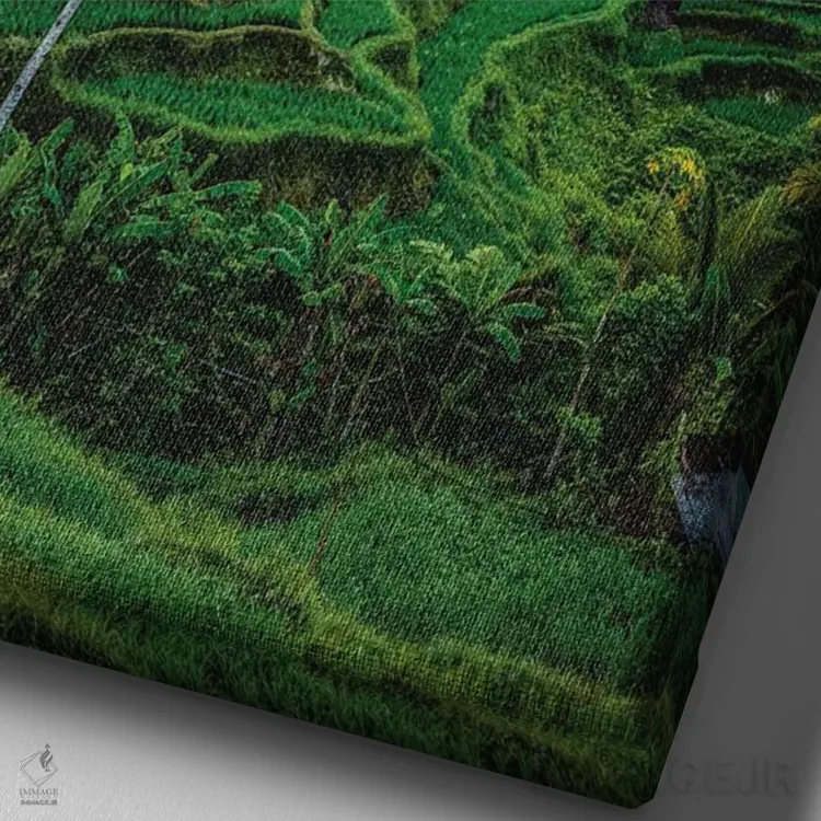 تابلو کشاورز برنج تراسدار اندونزی شماره ۱ اثر الکس جی پرز - نمای نزدیک بافت بوم