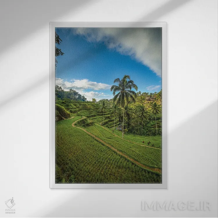 تابلو تراس برنج موپو در بالی اندونزی شماره ۳ اثر الکس جی پرز - نمای قابدار سفید