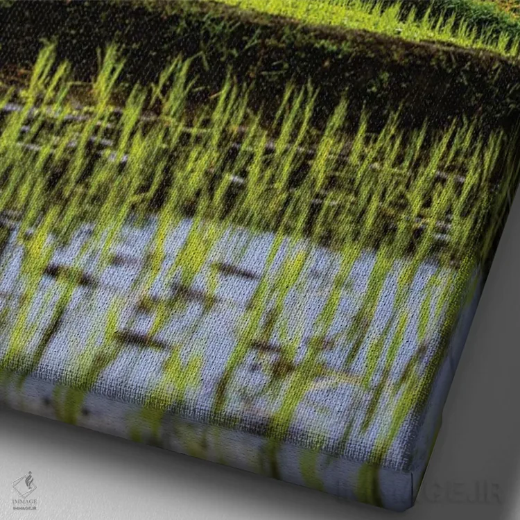 تابلو مزرعه برنج تراسدار اندونزی شماره ۳ اثر الکس جی پرز - نمای نزدیک بافت بوم