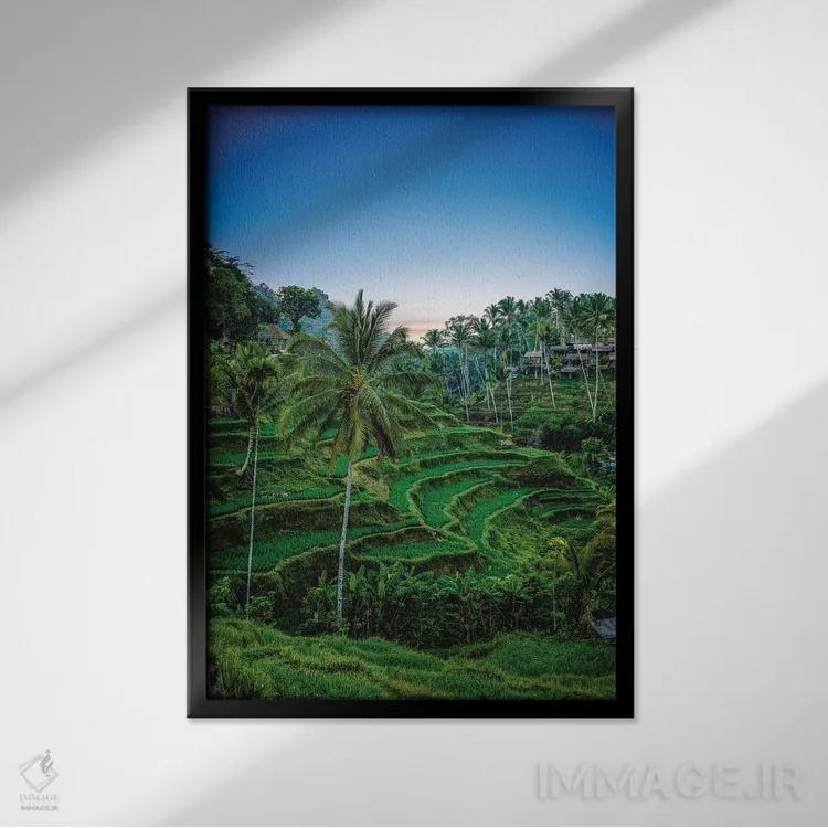 تابلو کشاورز برنج تراسدار اندونزی شماره ۱ اثر الکس جی پرز - نمای قابدار مشکی