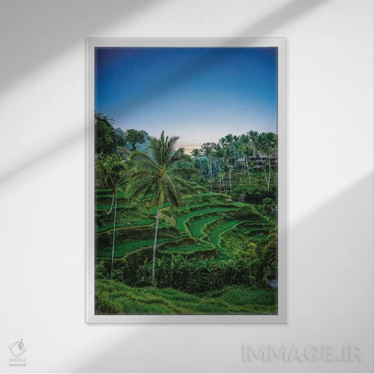 تابلو کشاورز برنج تراسدار اندونزی شماره ۱ اثر الکس جی پرز - نمای قابدار سفید