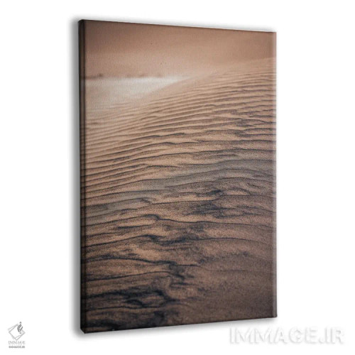 تابلو جزئیات ظریف تل شنی شماره ۱ اثر الکس جی پرز - نمای پرسپکتیو محصول