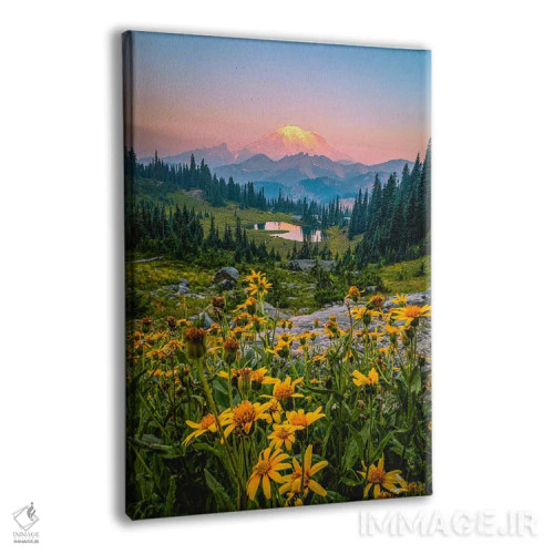 تابلو طلوع آفتاب و گلهای وحشی کوه رینیر اثر الکس جی پرز - نمای پرسپکتیو محصول