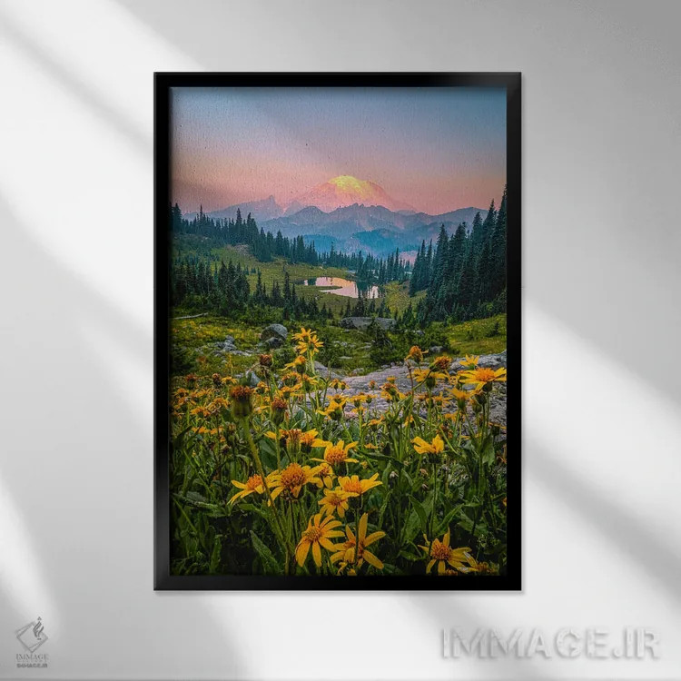 تابلو طلوع آفتاب و گلهای وحشی کوه رینیر اثر الکس جی پرز - نمای قابدار مشکی