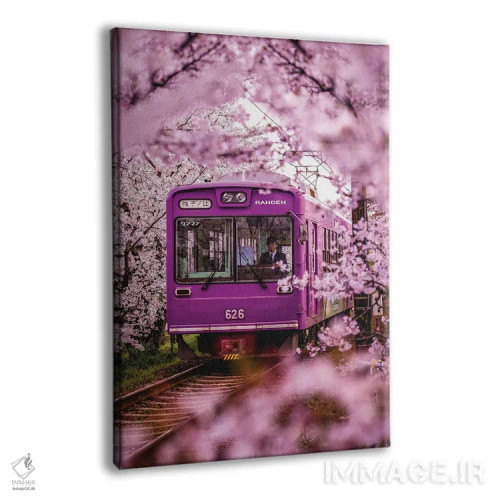 تابلو قطار محلی در شکوفههای گیلاس ژاپن II اثر الکس جی پرز - نمای پرسپکتیو محصول