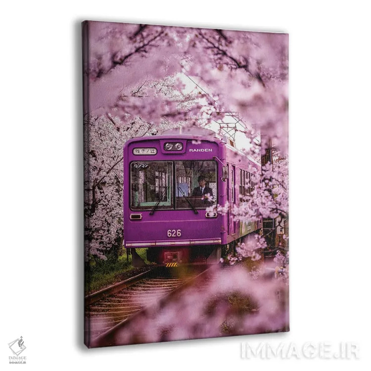 تابلو قطار محلی در شکوفههای گیلاس ژاپن II اثر الکس جی پرز - نمای پرسپکتیو محصول