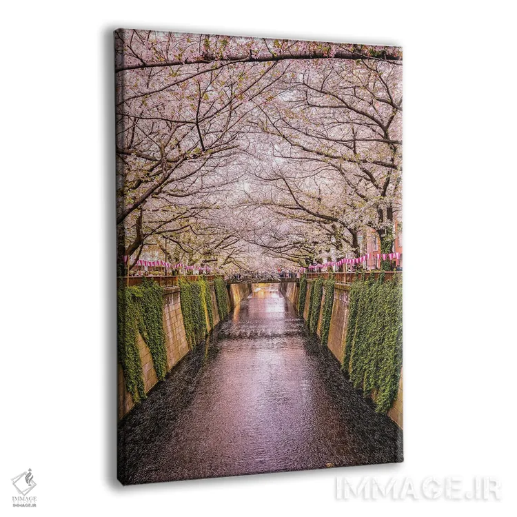 تابلو رودخانه با شکوفههای گیلاس ژاپن II اثر الکس جی پرز - نمای پرسپکتیو محصول