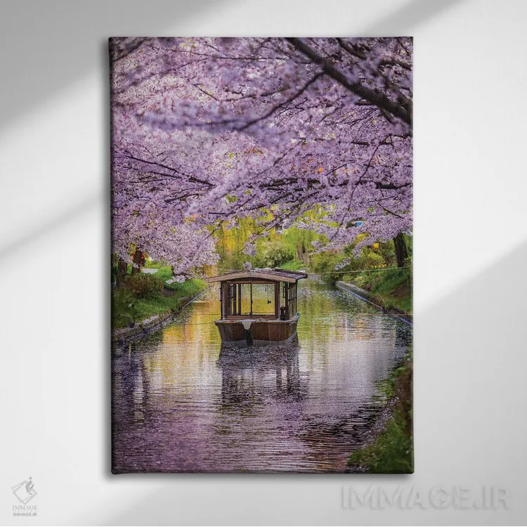 تابلو قایق روی رودخانه شکوفههای گیلاس ژاپن II اثر الکس جی پرز - نمای روبهرو روی دیوار
