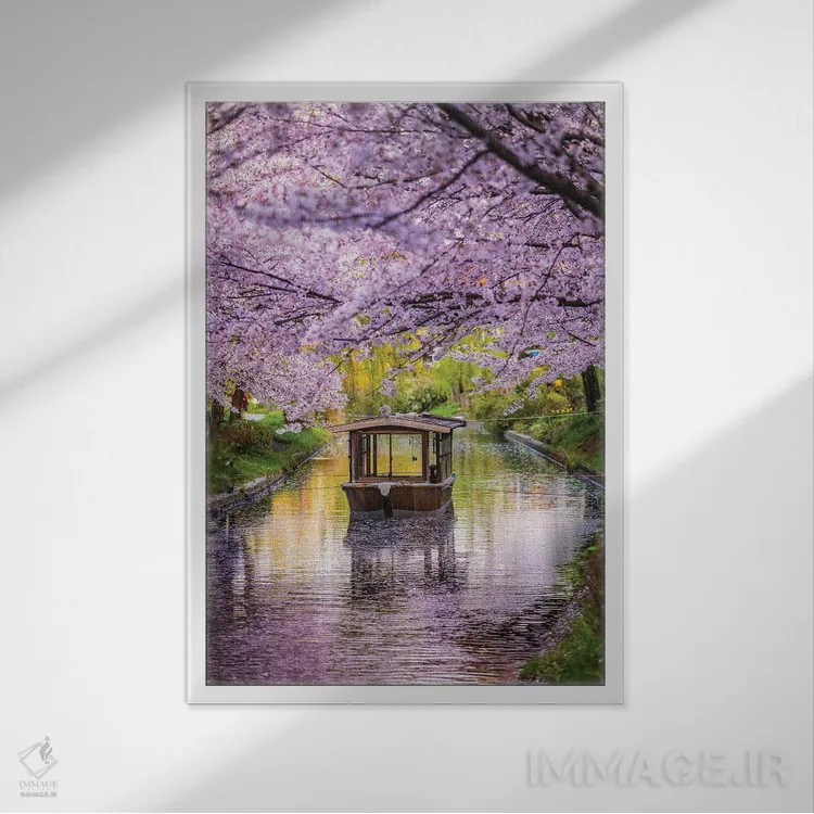 تابلو قایق روی رودخانه شکوفههای گیلاس ژاپن II اثر الکس جی پرز - نمای قابدار سفید