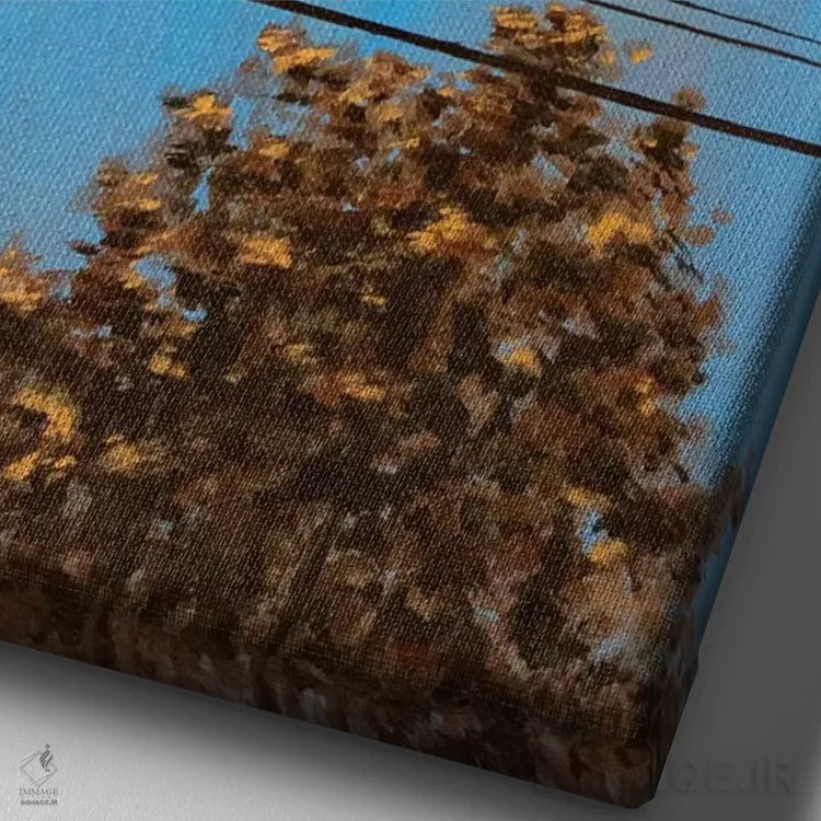 تابلو رفته اثر الکساندر گراهوفسکی - نمای نزدیک بافت بوم