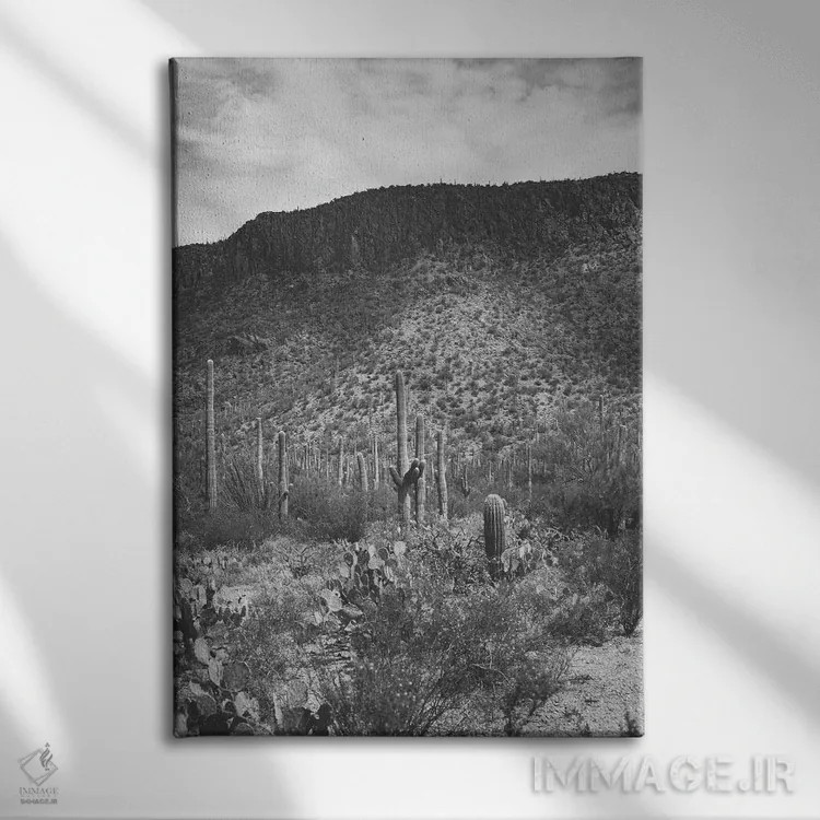 تابلو ساگوارو (نوعی کاکتوس آمریکایی مشهور) اثر آن هادک - نمای روبهرو روی دیوار