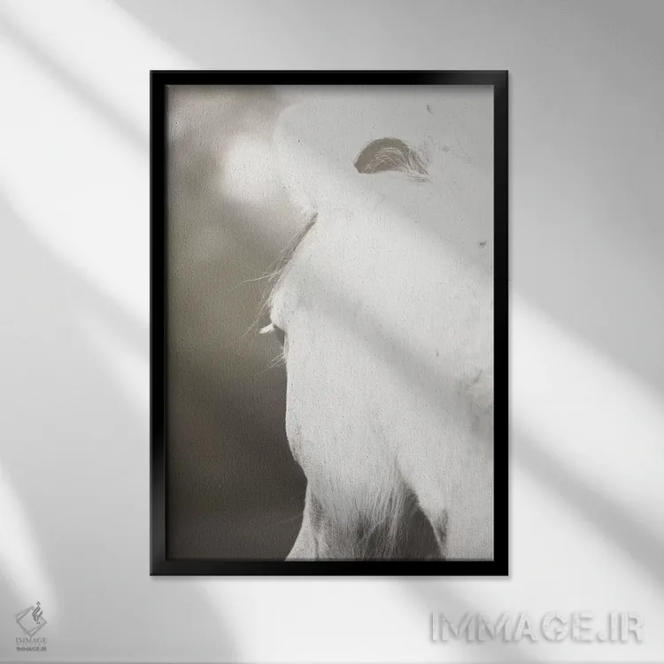تابلو مروارید اثر آن هادک - نمای قابدار مشکی