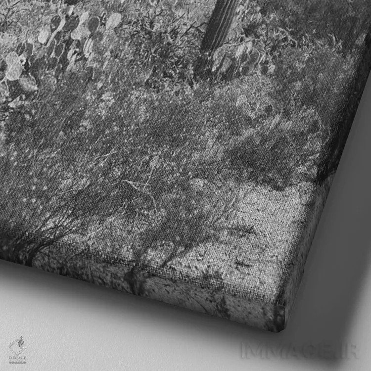 تابلو ساگوارو (نوعی کاکتوس آمریکایی مشهور) اثر آن هادک - نمای نزدیک بافت بوم