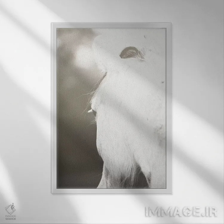 تابلو مروارید اثر آن هادک - نمای قابدار سفید