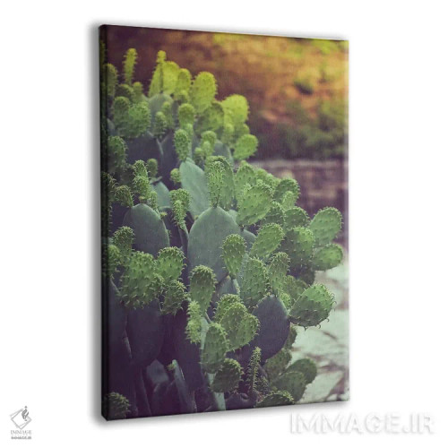 تابلو مناظر جنوب غربی (آمریکا) اثر آن هادک - نمای پرسپکتیو محصول