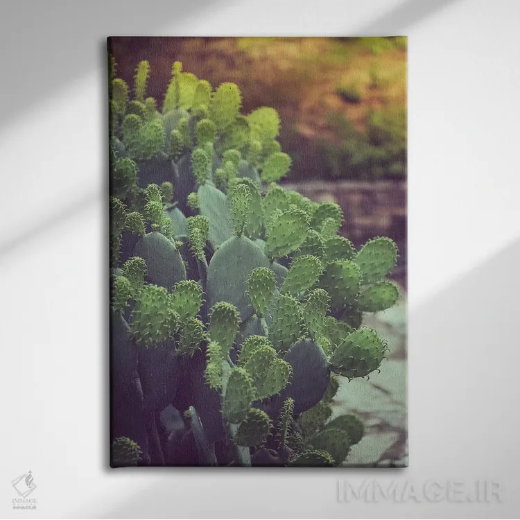 تابلو مناظر جنوب غربی (آمریکا) اثر آن هادک - نمای روبهرو روی دیوار