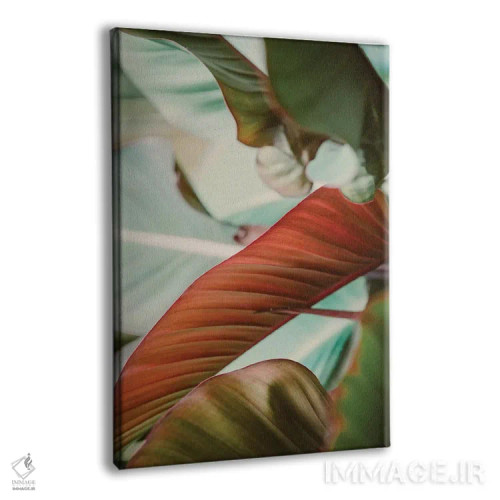 تابلو رنگهای گرمسیری اثر آن هادک - نمای پرسپکتیو محصول