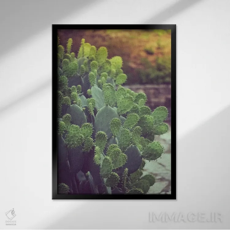 تابلو مناظر جنوب غربی (آمریکا) اثر آن هادک - نمای قابدار مشکی