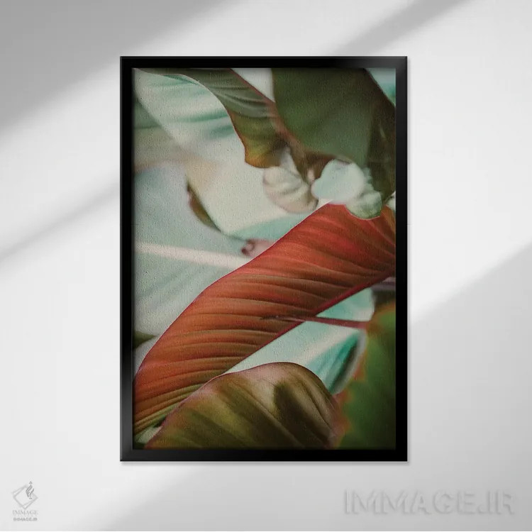 تابلو رنگهای گرمسیری اثر آن هادک - نمای قابدار مشکی