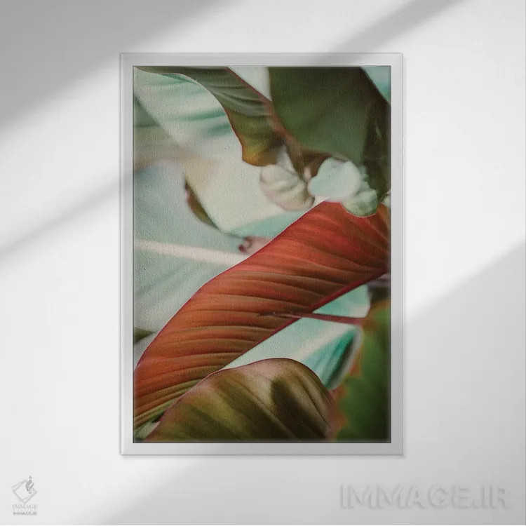 تابلو رنگهای گرمسیری اثر آن هادک - نمای قابدار سفید