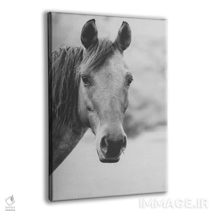 تابلو قلب وحشی اثر آن هادک - نمای پرسپکتیو محصول