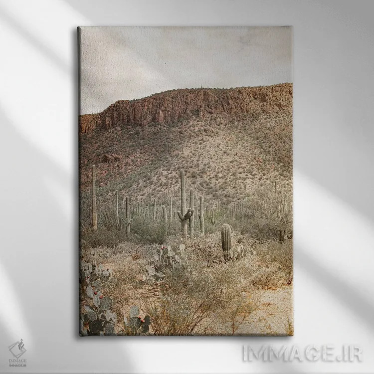 تابلو قلب بیابان اثر آن هادک - نمای روبهرو روی دیوار