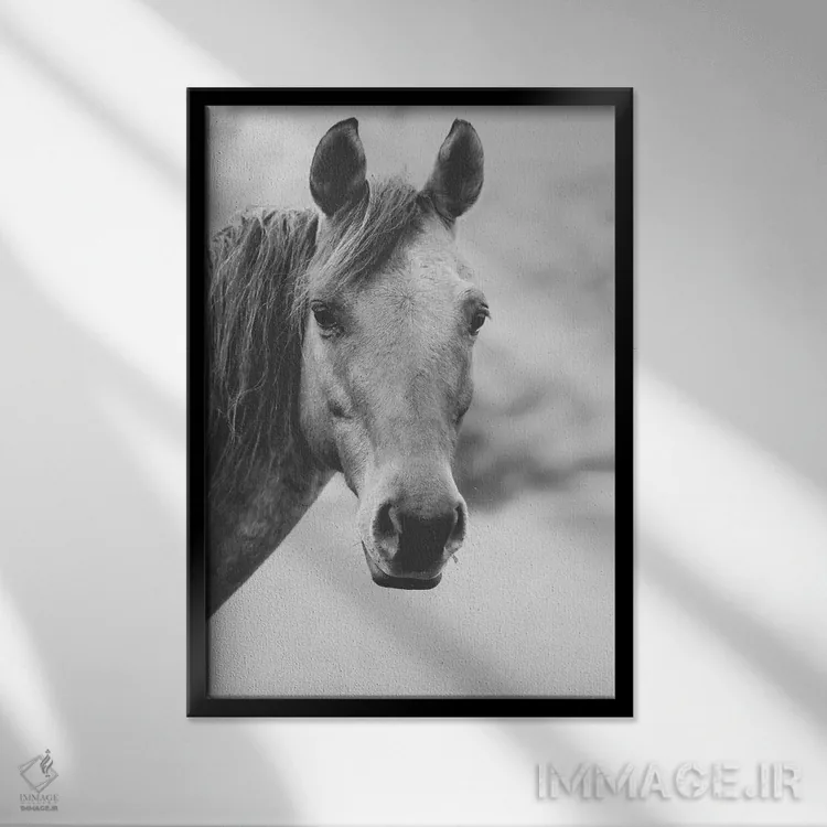 تابلو قلب وحشی اثر آن هادک - نمای قابدار مشکی