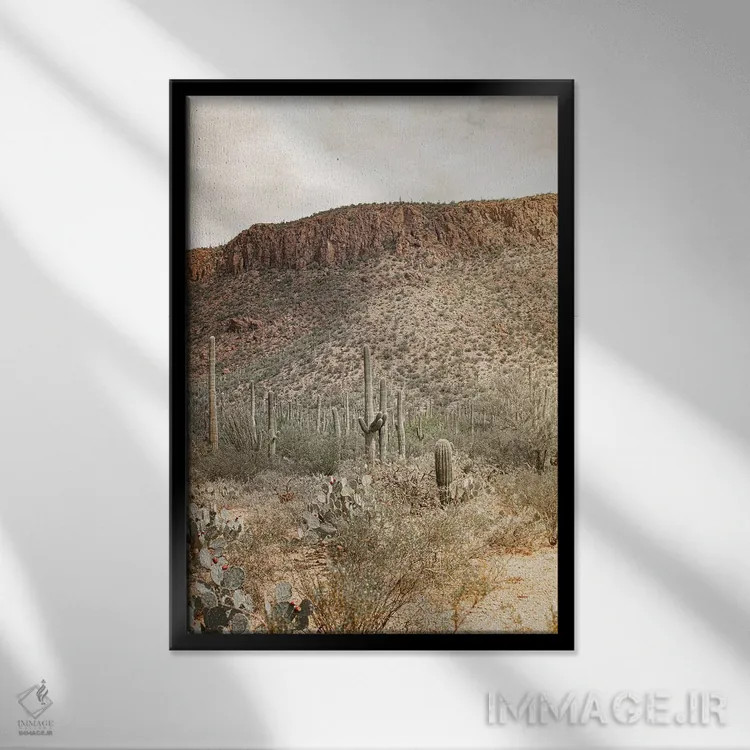 تابلو قلب بیابان اثر آن هادک - نمای قابدار مشکی