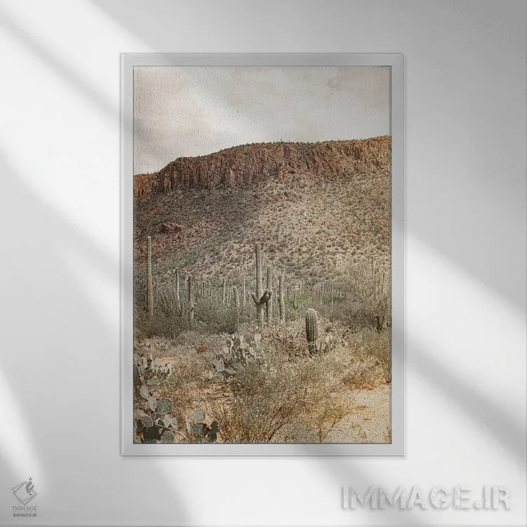 تابلو قلب بیابان اثر آن هادک - نمای قابدار سفید