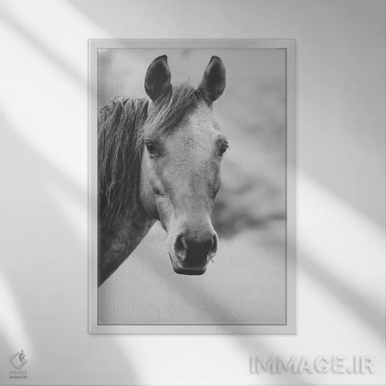 تابلو قلب وحشی اثر آن هادک - نمای قابدار سفید