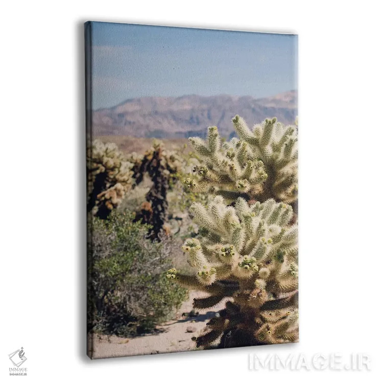 تابلو باغ کاکتوس چولا اثر آن هادک - نمای پرسپکتیو محصول