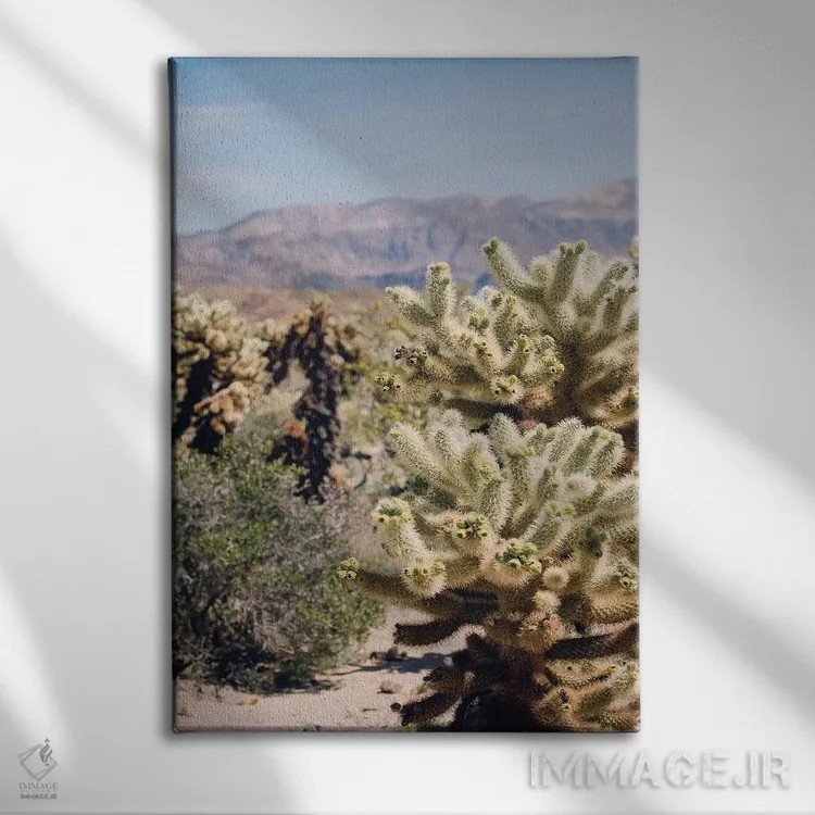 تابلو باغ کاکتوس چولا اثر آن هادک - نمای روبهرو روی دیوار