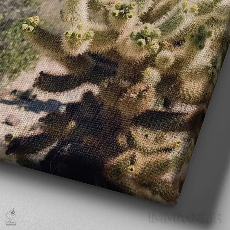 تابلو باغ کاکتوس چولا اثر آن هادک - نمای نزدیک بافت بوم