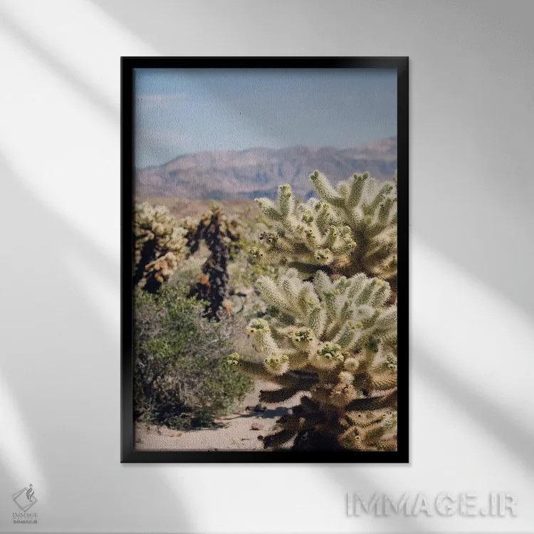 تابلو باغ کاکتوس چولا اثر آن هادک - نمای قابدار مشکی