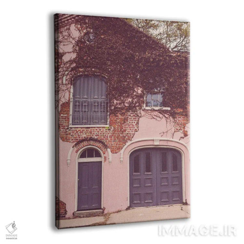 تابلو خانه کالسکه صورتی در منطقه باغ نیواورلئان اثر آن هادک - نمای پرسپکتیو محصول