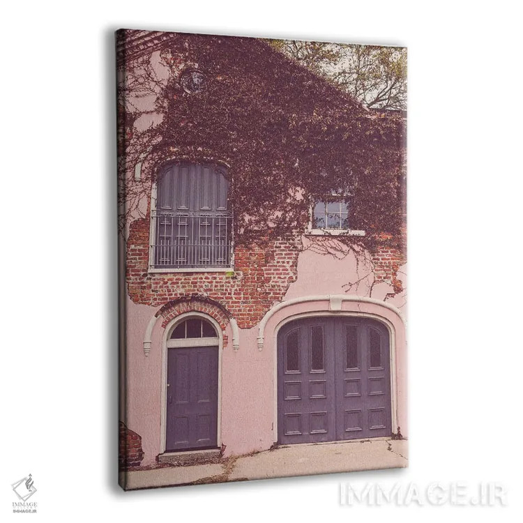 تابلو خانه کالسکه صورتی در منطقه باغ نیواورلئان اثر آن هادک - نمای پرسپکتیو محصول