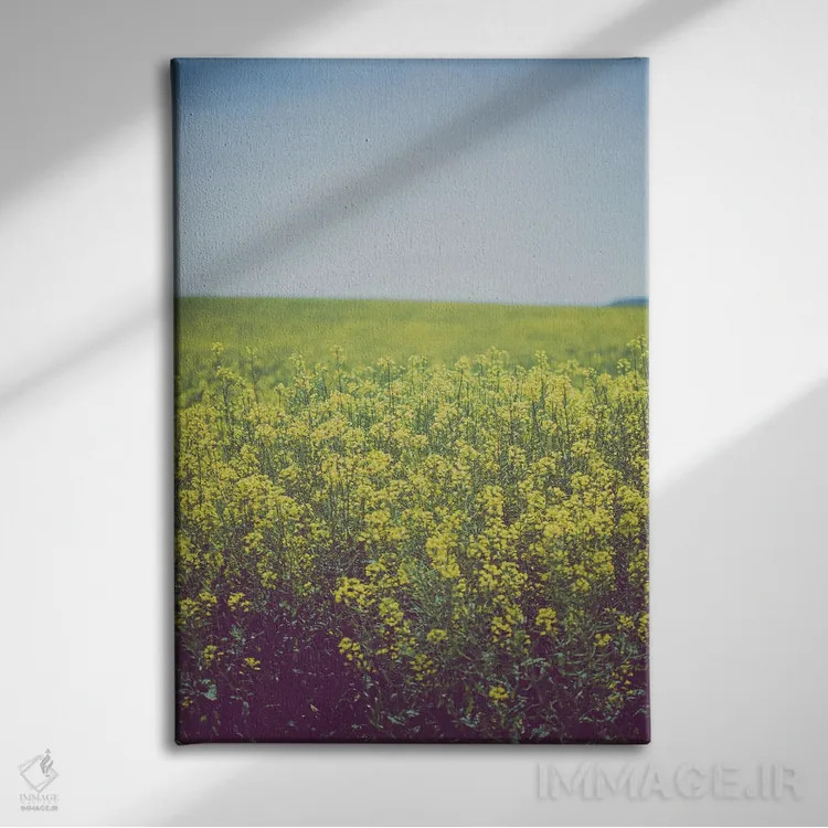 تابلو مزارع طلایی با دکور روستایی اثر آن هادک - نمای روبهرو روی دیوار