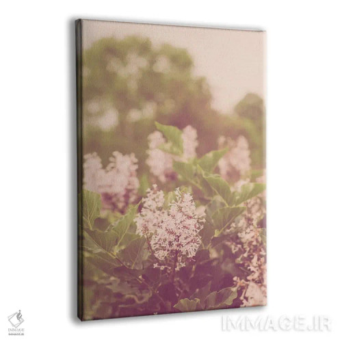 تابلو شکوفههای بهاری یاس بنفش II اثر آن هادک - نمای پرسپکتیو محصول