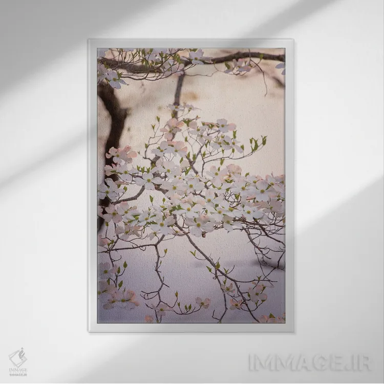 تابلو شکوفههای سفید درخت داگوود، هنر بهاری اثر آن هادک - نمای قابدار سفید