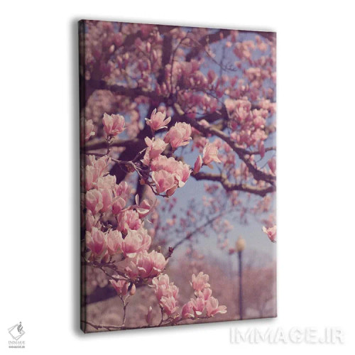 تابلو بهار در واشینگتن دیسی اثر آن هادک - نمای پرسپکتیو محصول